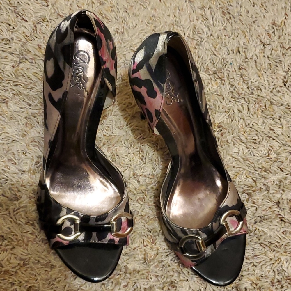 Carlos Santana heals